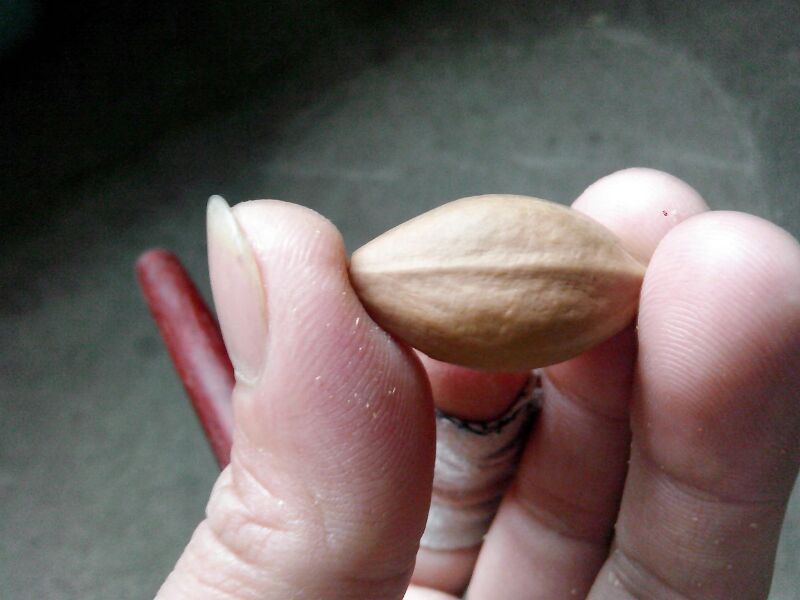 一群和尚！！898 / 作者:排散 / 帖子ID:99631