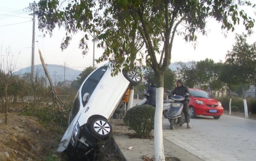 看！灰机~~~~~~~~~~~743 / 作者:小雨点 / 帖子ID:99649