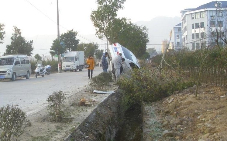 看！灰机~~~~~~~~~~~991 / 作者:小雨点 / 帖子ID:99649