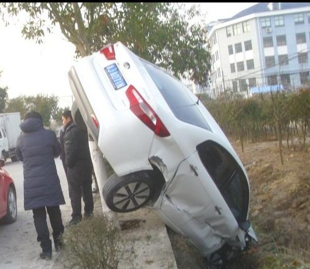 看！灰机~~~~~~~~~~~604 / 作者:小雨点 / 帖子ID:99649