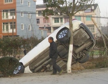 看！灰机~~~~~~~~~~~302 / 作者:小雨点 / 帖子ID:99649