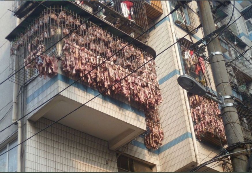 土豪家的腊肉84 / 作者:狗掰涛 / 帖子ID:99765