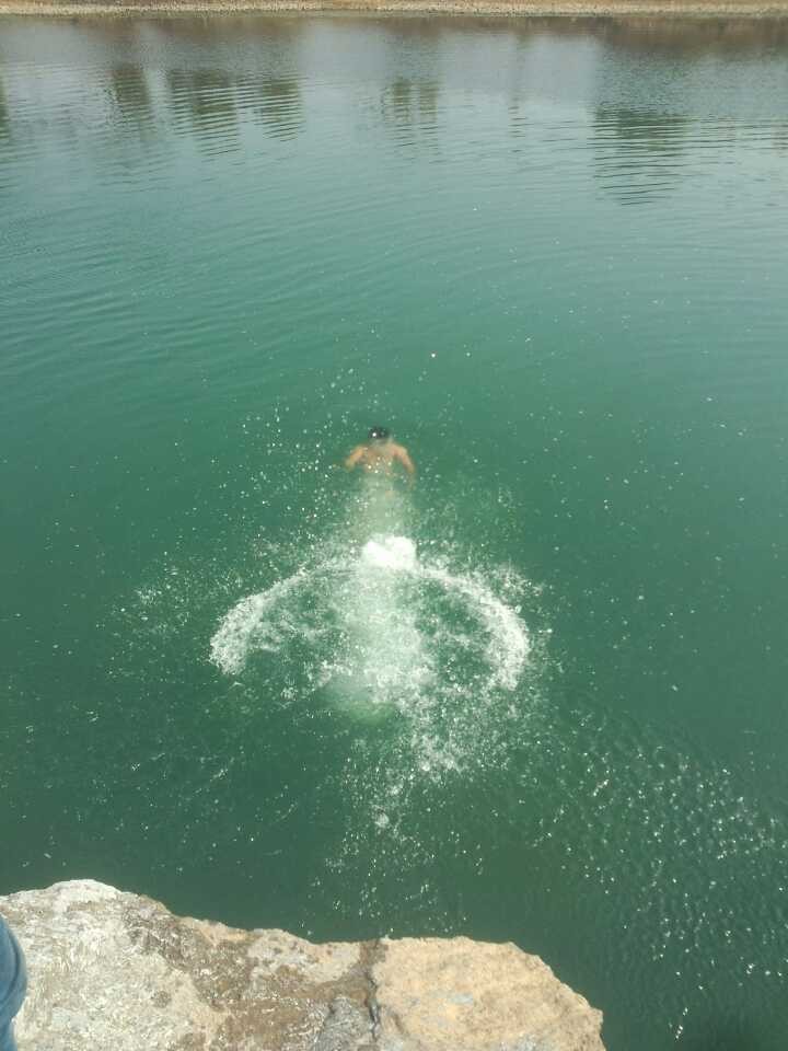 第一次冬泳523 / 作者:柳艳 / 帖子ID:99776