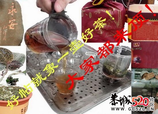 会有多少人欢迎我回论坛？19 / 作者:恭城无聊人 / 帖子ID:99623