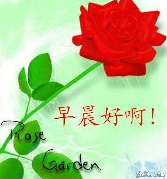 照片做日历355 / 作者:瑶乡看兰 / 帖子ID:99567