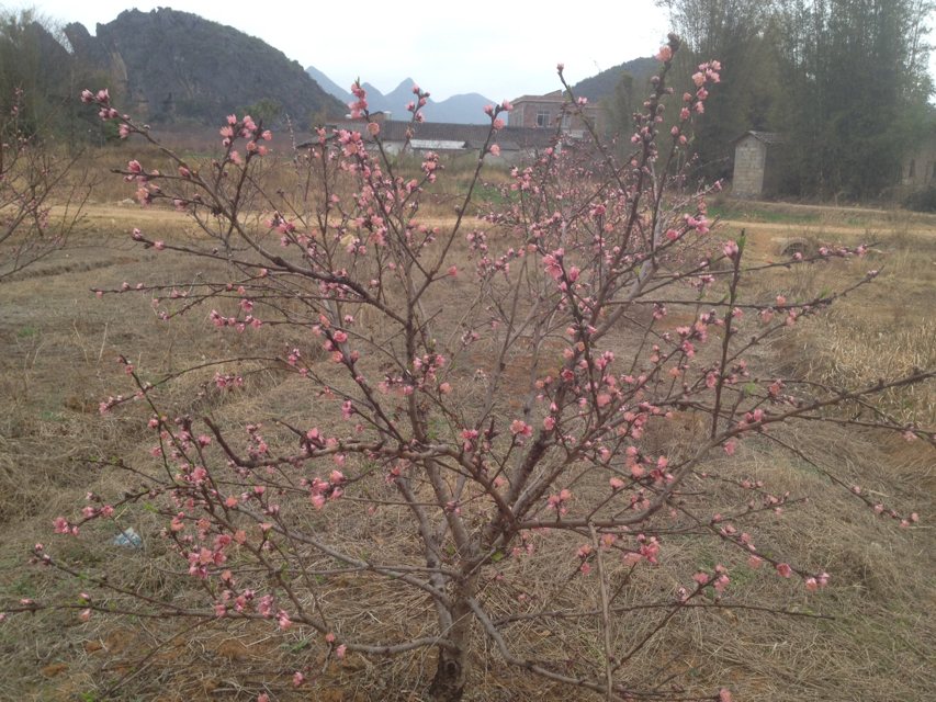 无题49 / 作者:烟火的暧昧 / 帖子ID:100070