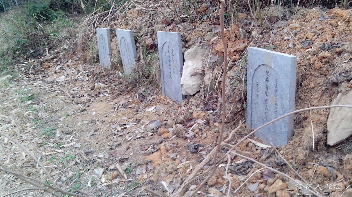 种田种地种祖宗——另一种致富经898 / 作者:恭城无聊人 / 帖子ID:100076