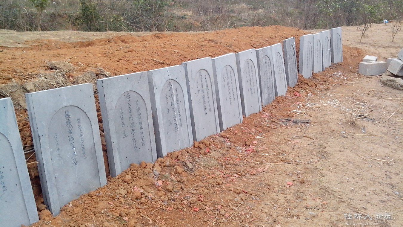 种田种地种祖宗——另一种致富经800 / 作者:恭城无聊人 / 帖子ID:100076