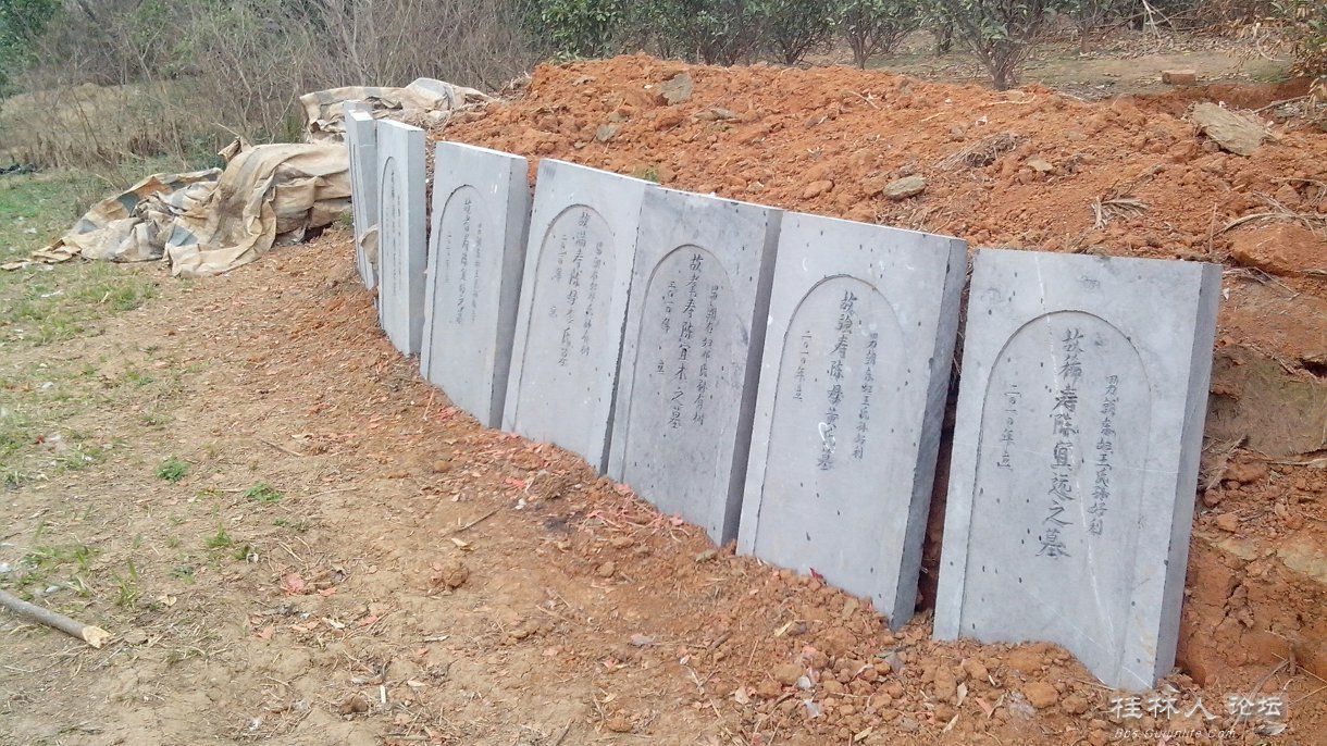 种田种地种祖宗——另一种致富经51 / 作者:恭城无聊人 / 帖子ID:100076