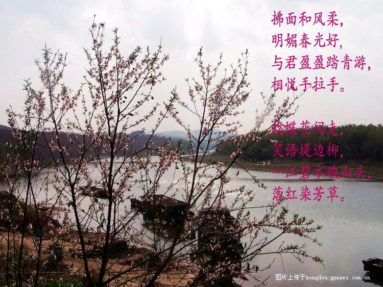 春骚698 / 作者:恭城无聊人 / 帖子ID:100082