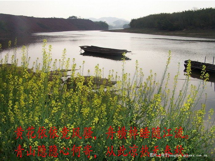 春骚201 / 作者:恭城无聊人 / 帖子ID:100082