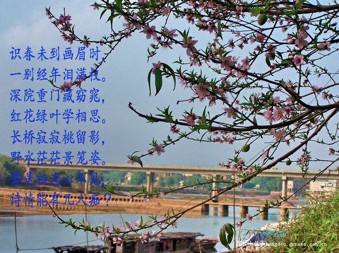 春骚503 / 作者:恭城无聊人 / 帖子ID:100082