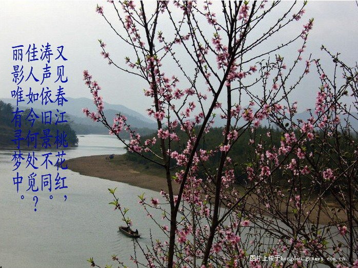 春骚870 / 作者:恭城无聊人 / 帖子ID:100082