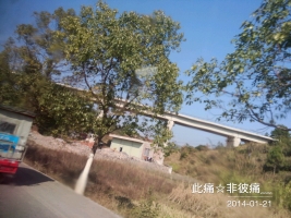 可爱的家伙.受伤了.....826 / 作者:此痛☆非彼痛﹏ / 帖子ID:100050