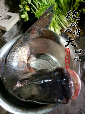 可爱的家伙.受伤了.....208 / 作者:此痛☆非彼痛﹏ / 帖子ID:100050