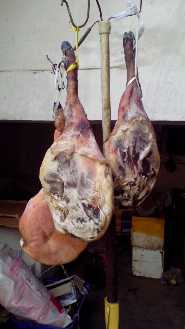 云南狮子与岭南狮子区别157 / 作者:恭城蚂蜂 / 帖子ID:100275