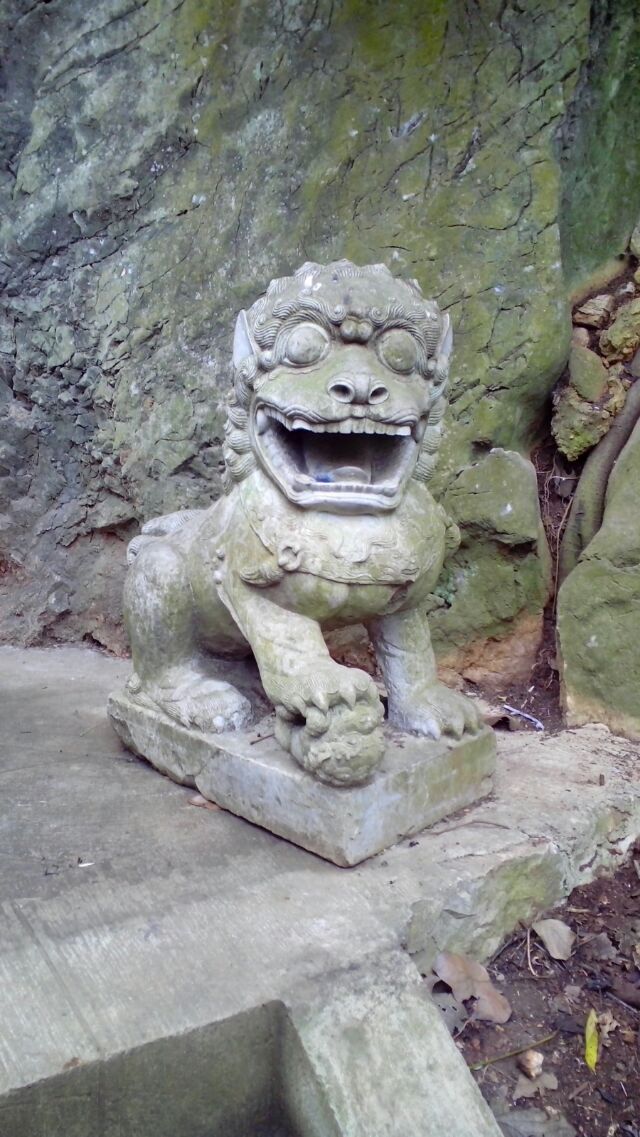 云南狮子与岭南狮子区别119 / 作者:恭城蚂蜂 / 帖子ID:100275