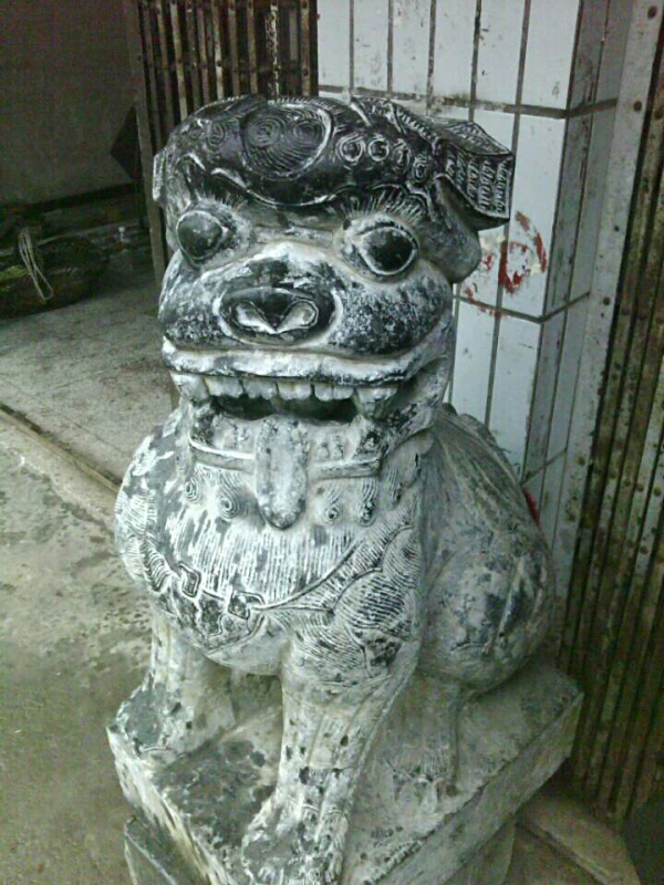 云南狮子与岭南狮子区别169 / 作者:恭城蚂蜂 / 帖子ID:100275