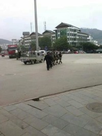 恭城也提高警惕了847 / 作者:づ夏沫、煙雨 / 帖子ID:100597