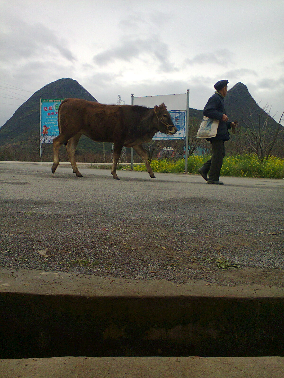 今天来了嘛多的车啵182 / 作者:否定一切 / 帖子ID:100674