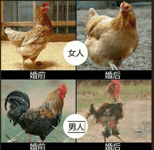 现在的日子就是这样过的！478 / 作者:罗少爷 / 帖子ID:100733