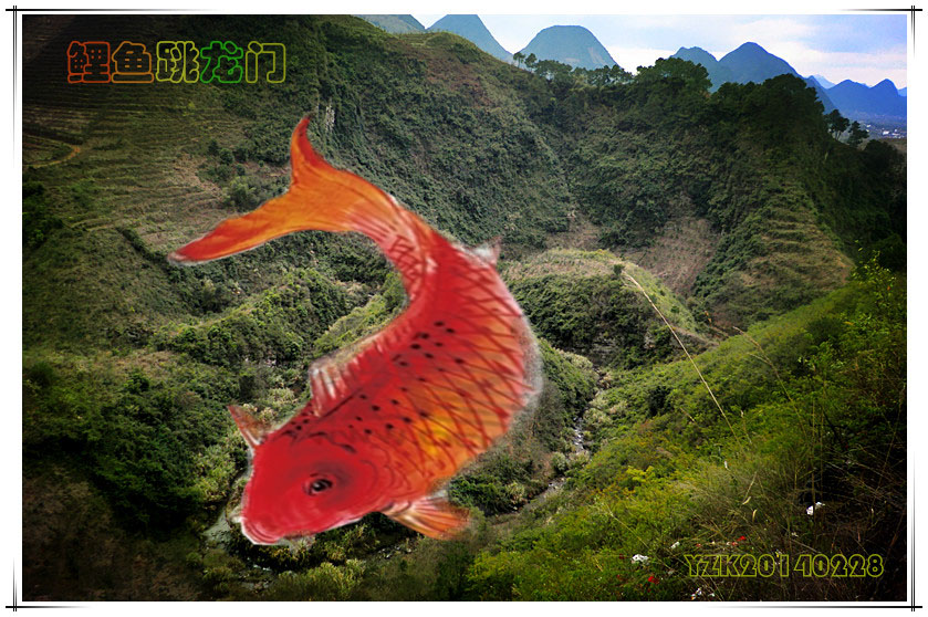美丽势江584 / 作者:移不动 / 帖子ID:100756