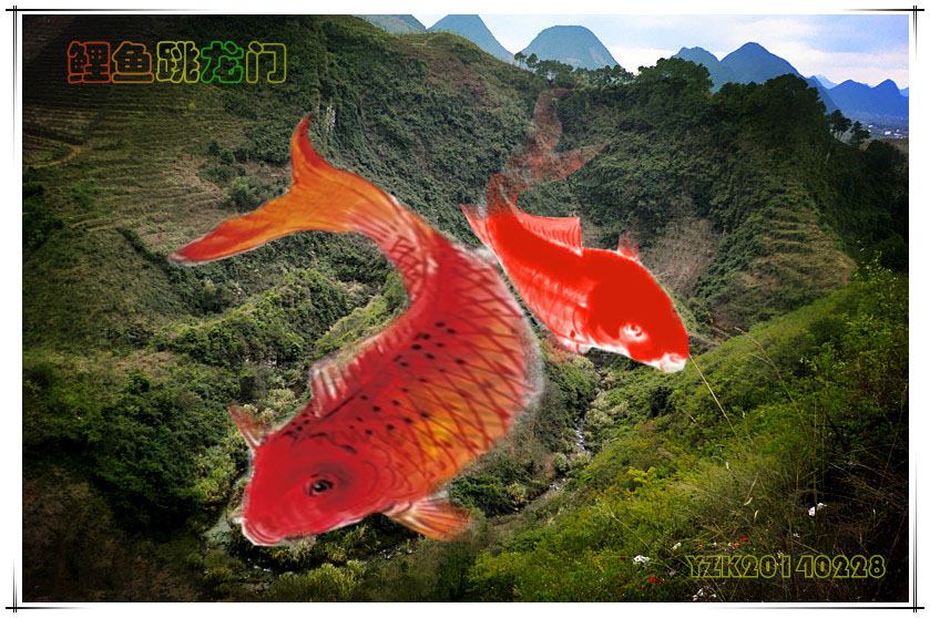 美丽势江459 / 作者:移不动 / 帖子ID:100756
