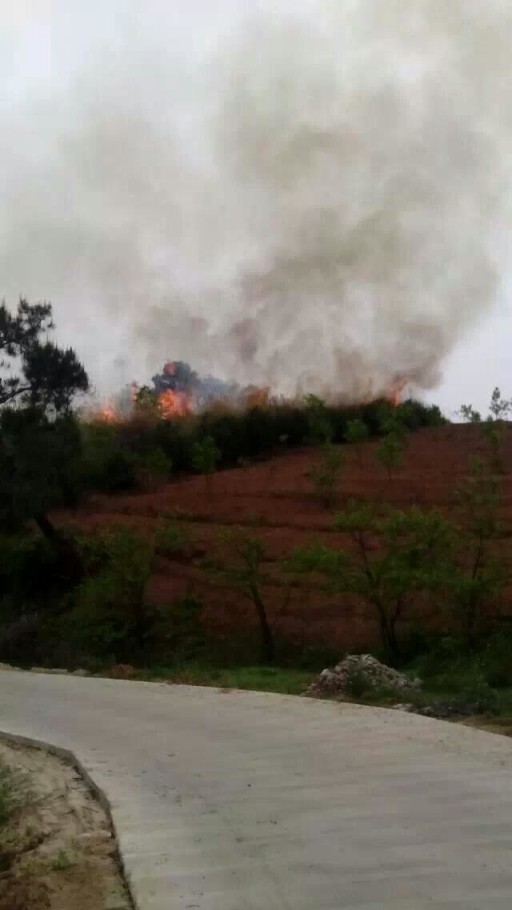 还要烧多久？？327 / 作者:罗少爷 / 帖子ID:101116