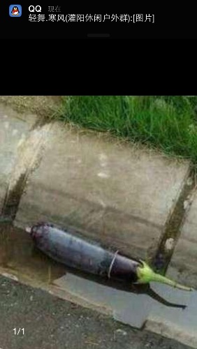 谁家细妹子丢了东西？474 / 作者:穷人 / 帖子ID:101132