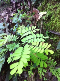 调整心态，生活很美好！81 / 作者:罗少爷 / 帖子ID:101175