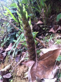 调整心态，生活很美好！72 / 作者:罗少爷 / 帖子ID:101175