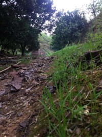 调整心态，生活很美好！259 / 作者:罗少爷 / 帖子ID:101175