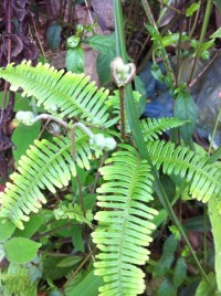 调整心态，生活很美好！803 / 作者:罗少爷 / 帖子ID:101175