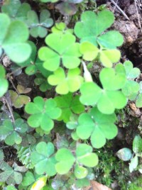 调整心态，生活很美好！572 / 作者:罗少爷 / 帖子ID:101175