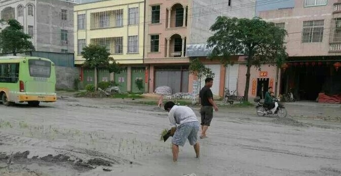 325国道路面淤泥深达30厘米，农民伯伯想奇招，国道变良田！283 / 作者:水墨茶江 / 帖子ID:101249
