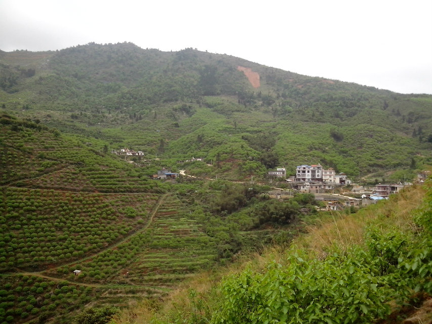 在那遥远的小山村。。。。407 / 作者:罗少爷 / 帖子ID:101302