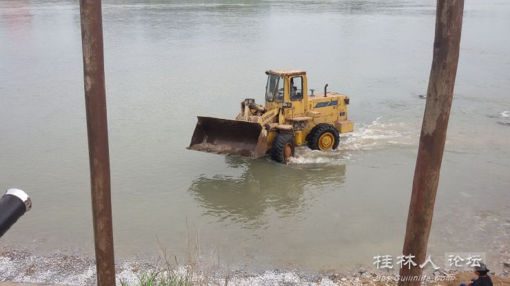 这个牛975 / 作者:恭城无聊人 / 帖子ID:101380