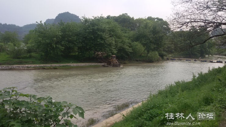 这个牛223 / 作者:恭城无聊人 / 帖子ID:101380