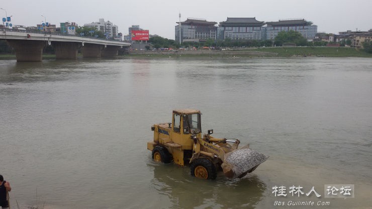 这个牛798 / 作者:恭城无聊人 / 帖子ID:101380