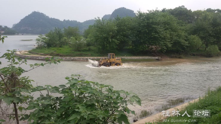 这个牛963 / 作者:恭城无聊人 / 帖子ID:101380