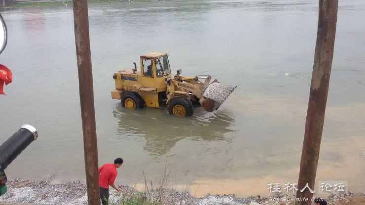 这个牛71 / 作者:恭城无聊人 / 帖子ID:101380