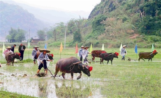 他乡的节3 / 作者:恭城无聊人 / 帖子ID:101381