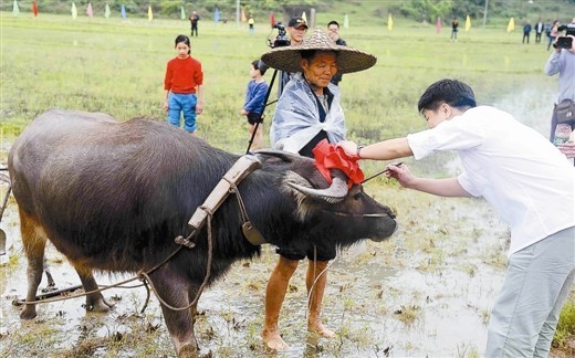 他乡的节395 / 作者:恭城无聊人 / 帖子ID:101381