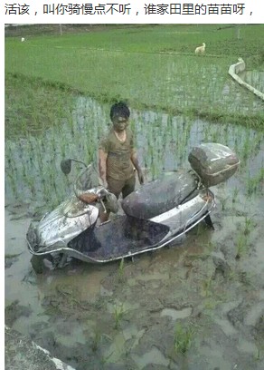 嗄！插秧机？584 / 作者:恭城无聊人 / 帖子ID:101419