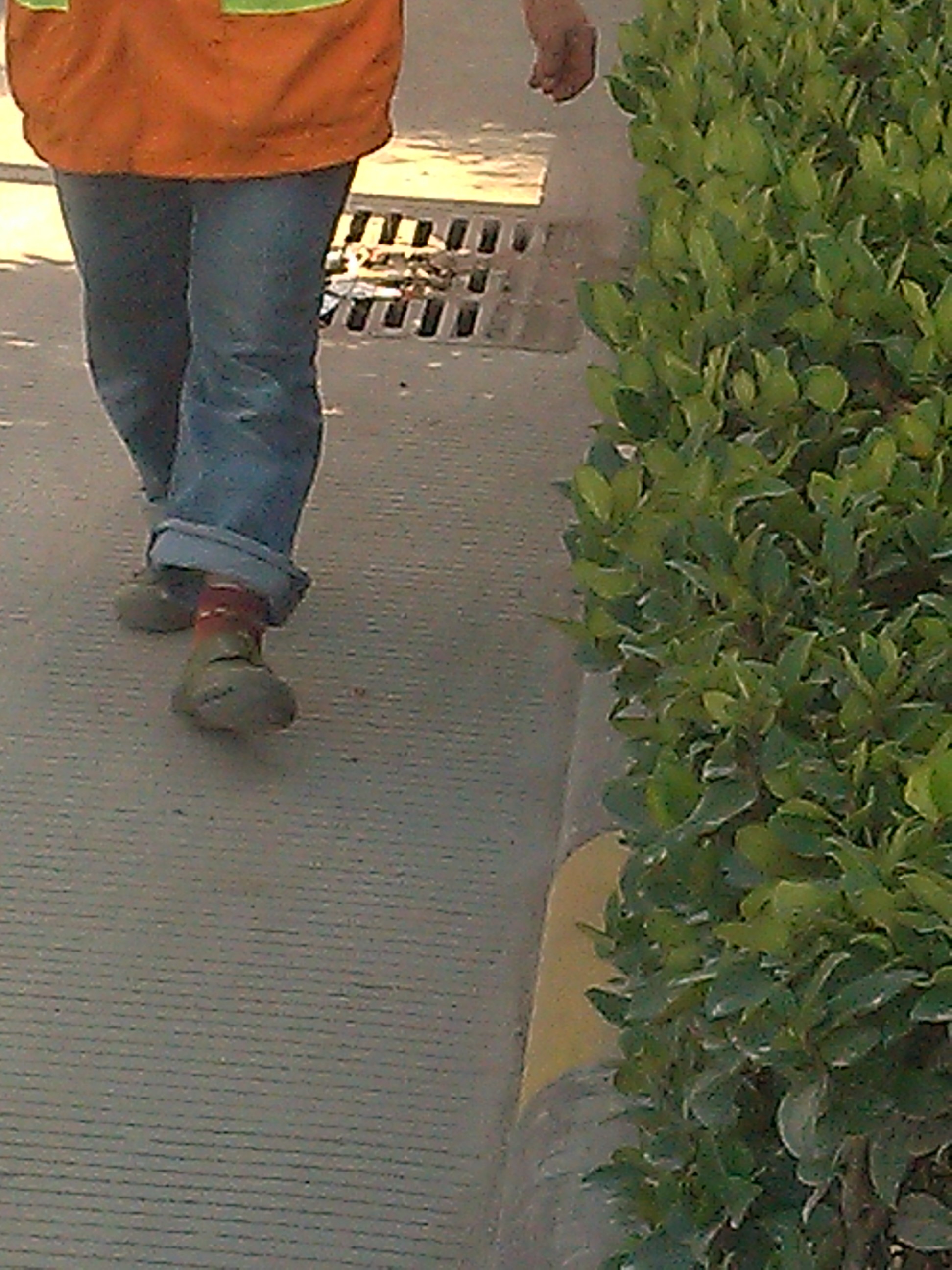 亲眼目睹，不可思议！294 / 作者:恭城老农民 / 帖子ID:101476