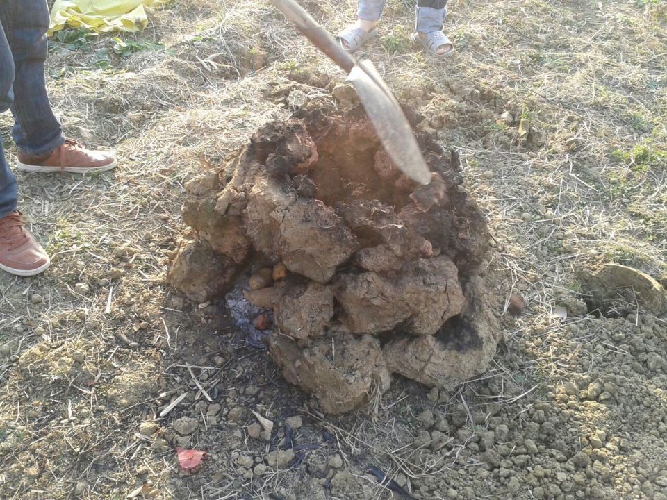 哈哈994 / 作者:恭城无聊人 / 帖子ID:101490