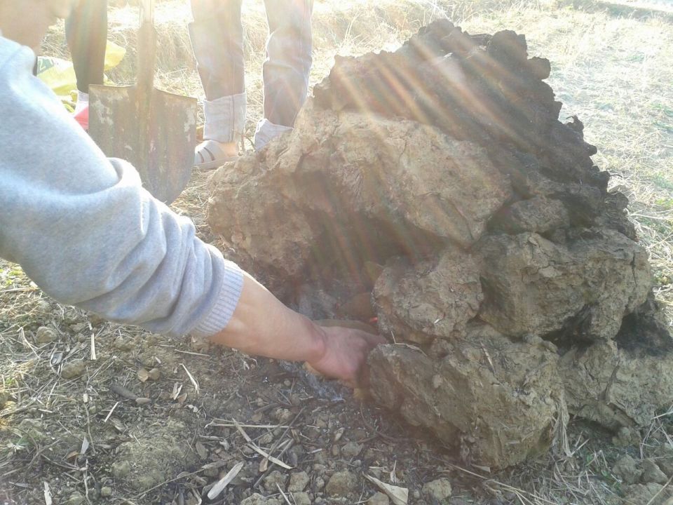 哈哈643 / 作者:恭城无聊人 / 帖子ID:101490