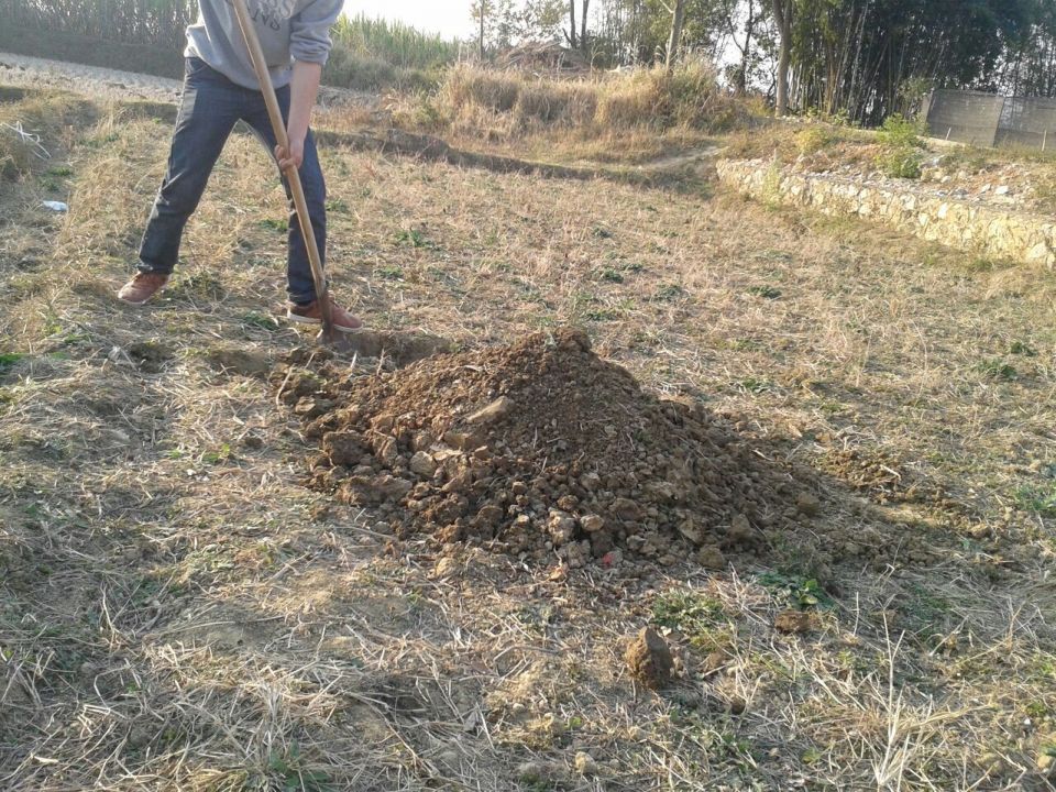 哈哈895 / 作者:恭城无聊人 / 帖子ID:101490