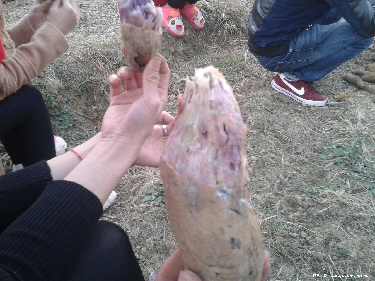 哈哈438 / 作者:恭城无聊人 / 帖子ID:101490