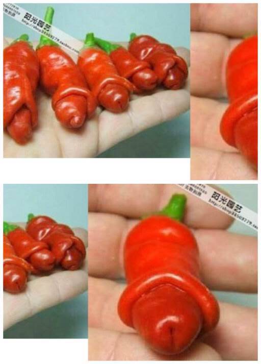 我的天，你丫不要长得这么性感可以不510 / 作者:随意看天下 / 帖子ID:101526